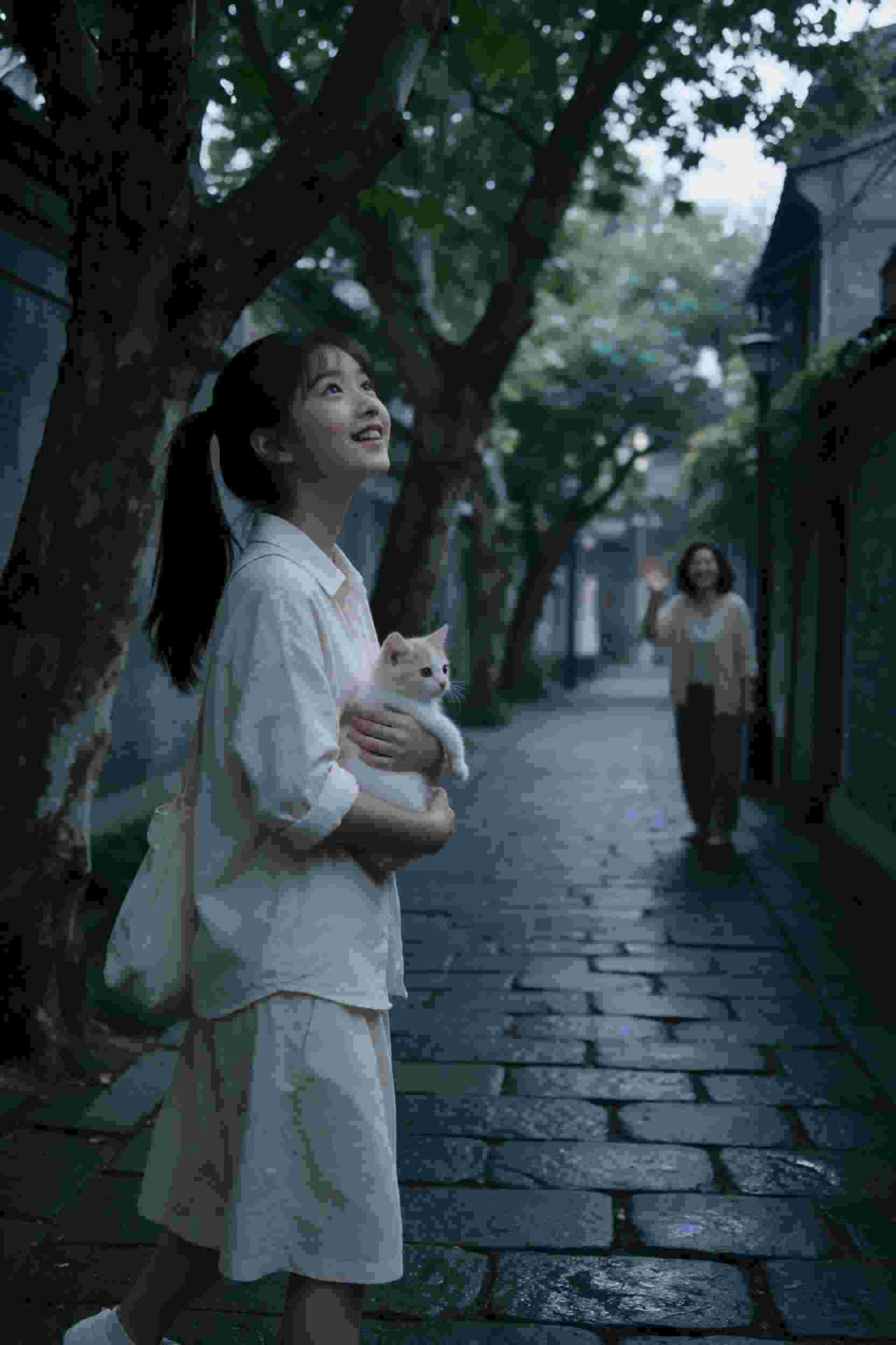 少年的梦
